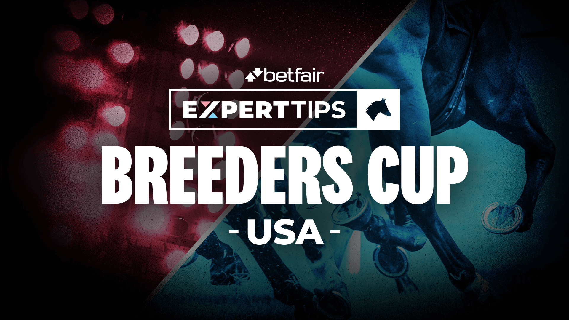 Breeders Cup Racing Tips | Preview & Best Bets | Betfair Hub