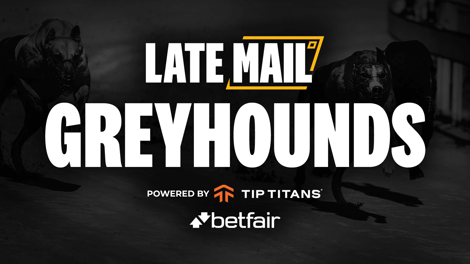 Greyhound Betting Strategies Wagering Strategies Betfair Hub